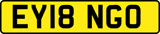 EY18NGO