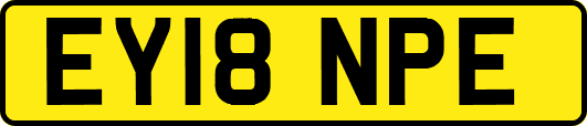 EY18NPE