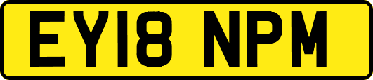 EY18NPM