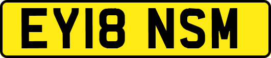 EY18NSM