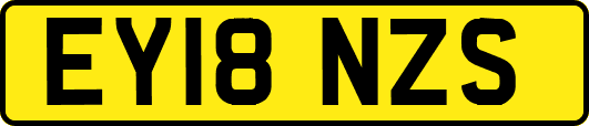 EY18NZS
