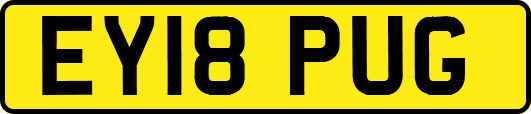 EY18PUG