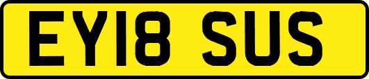 EY18SUS