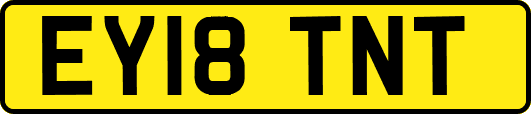 EY18TNT