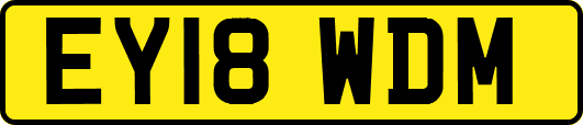 EY18WDM