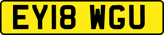 EY18WGU