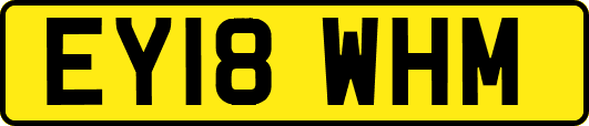 EY18WHM