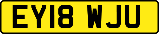 EY18WJU