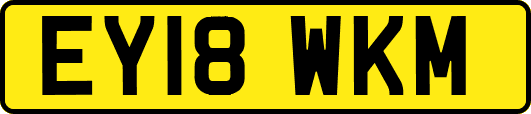 EY18WKM