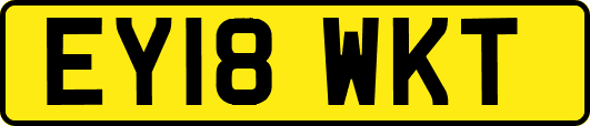 EY18WKT