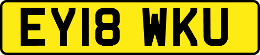 EY18WKU
