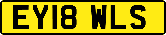 EY18WLS