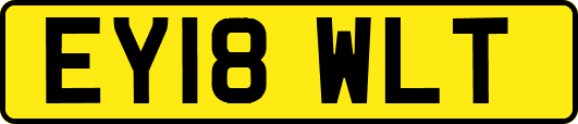EY18WLT