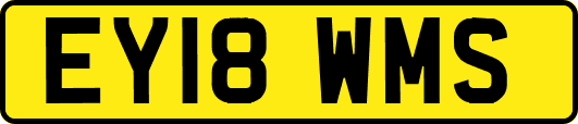 EY18WMS