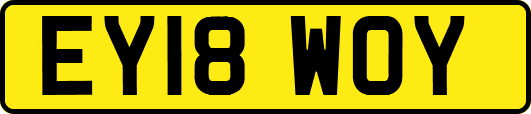 EY18WOY