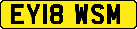 EY18WSM