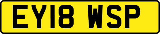 EY18WSP