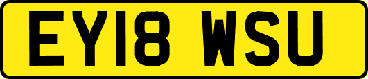EY18WSU