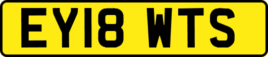 EY18WTS