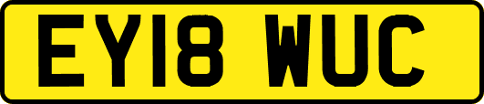 EY18WUC