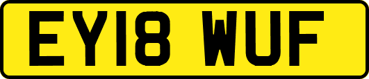 EY18WUF