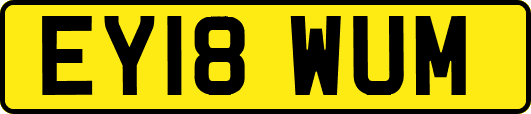 EY18WUM
