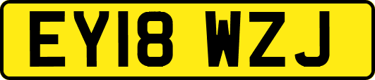 EY18WZJ