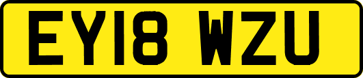 EY18WZU