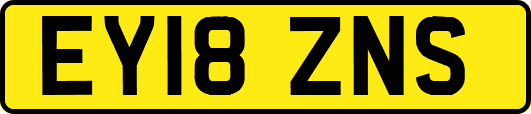 EY18ZNS