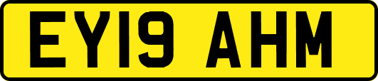 EY19AHM