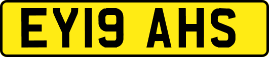 EY19AHS
