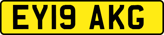 EY19AKG