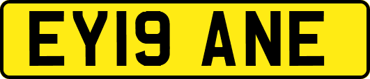 EY19ANE