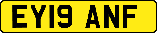 EY19ANF