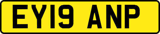 EY19ANP