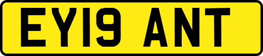 EY19ANT