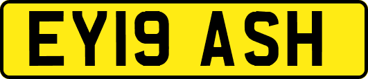 EY19ASH