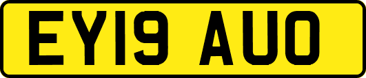 EY19AUO