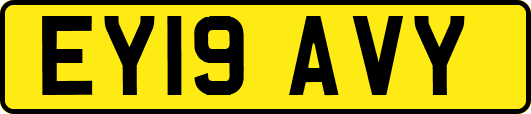 EY19AVY