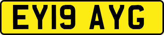 EY19AYG