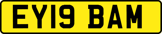EY19BAM