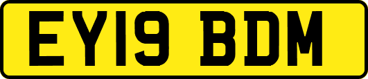 EY19BDM