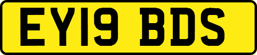 EY19BDS