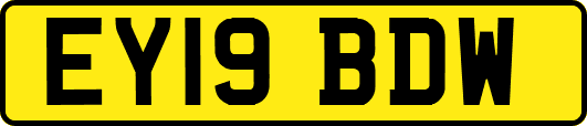 EY19BDW