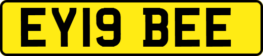 EY19BEE