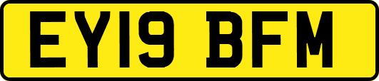 EY19BFM