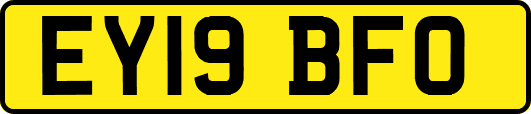 EY19BFO