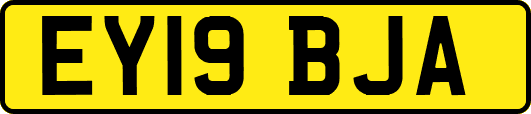 EY19BJA