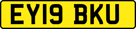 EY19BKU