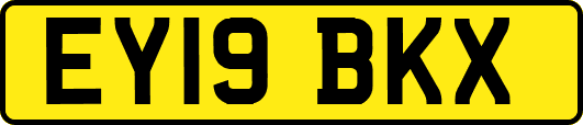 EY19BKX